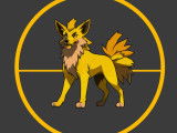 Arcanine education canine