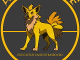 educateur canin alsace formé esprit dog