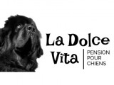 La Dolce Vita