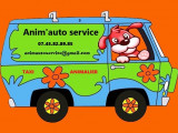 Anim'auto service