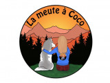 La meute à Coco