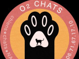 Ô2chats17