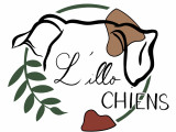 L’Illo Chiens
