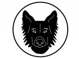 Dog Care Kingston