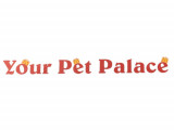 Your Pet Palace