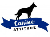 Canine Attitude
