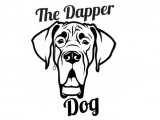 The Dapper Dog