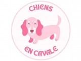 Chiens en Cavale