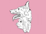 Central Canine