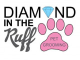 Diamond In The Ruff