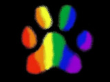 Pawcasso Pet Salon