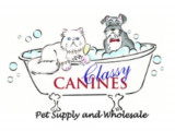 Classy Canines