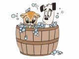 Klips Pet Grooming & Boutique