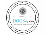 DOGS by kate