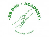 DB Dog Academy