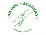 DB Dog Academy