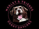 Marley & Friends