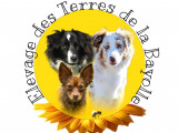 Des Terres de la Bayolle