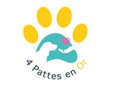 4 Pattes en Or