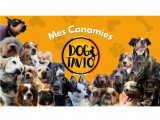 Dogtavio