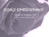 Sombre Romance