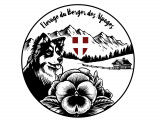 Du Berger des Alpages