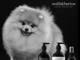 Pom Show