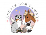 Angels Com'Pawny
