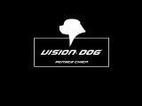 Vision Dog
