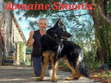 Domaine Simonis
