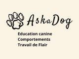AskaDog