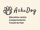 AskaDog