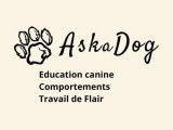 AskaDog
