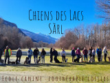 Chiens des Lacs