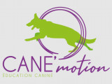 Cane'motion