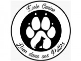 Bien dans ses Pattes