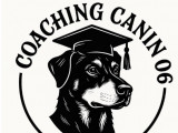 Coaching canin 06