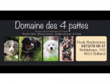 Domaine des 4 pattes
