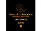 Amarok Académie