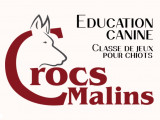 Crocs Malins