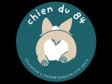 Chien du 84