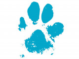 Dog School Academy