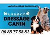 Annecy Dressage Canin