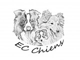 EC Chiens