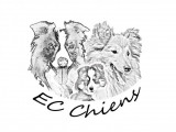 EC Chiens
