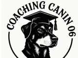 Coaching canin 06