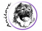 Anilove