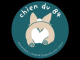 Chien du 84