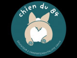 Chien du 84