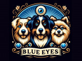 Blue Eyes